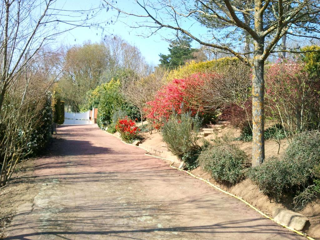 Mas du Trezon Bed & Breakfast Cholet Exterior foto